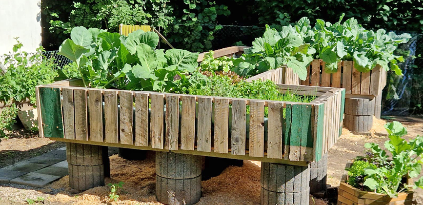 Im Garten der Arbeitsprojekte gibt es ein Hochbeet